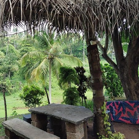 Joseph Dale Homestay Varkala Eksteriør billede