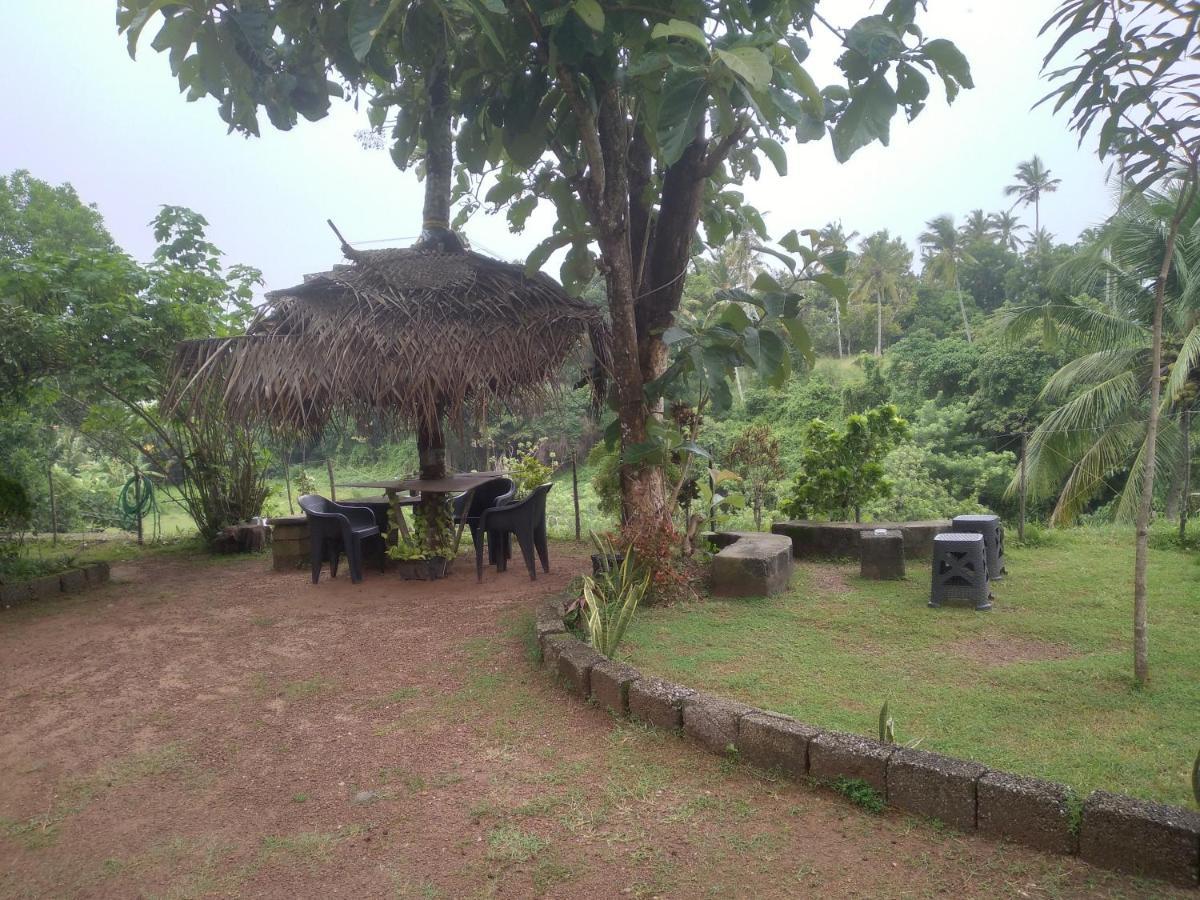 Joseph Dale Homestay Varkala Eksteriør billede