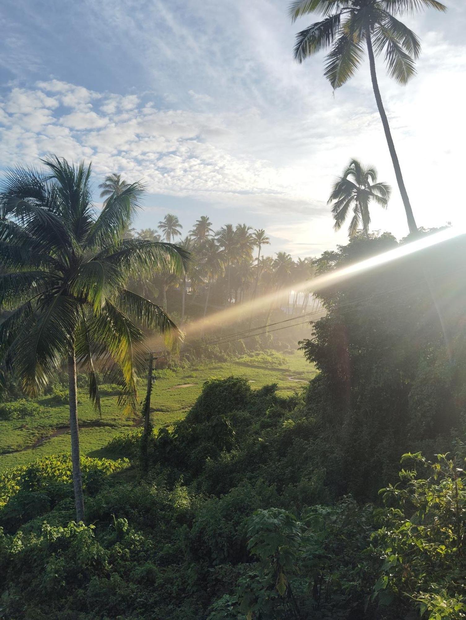 Joseph Dale Homestay Varkala Eksteriør billede