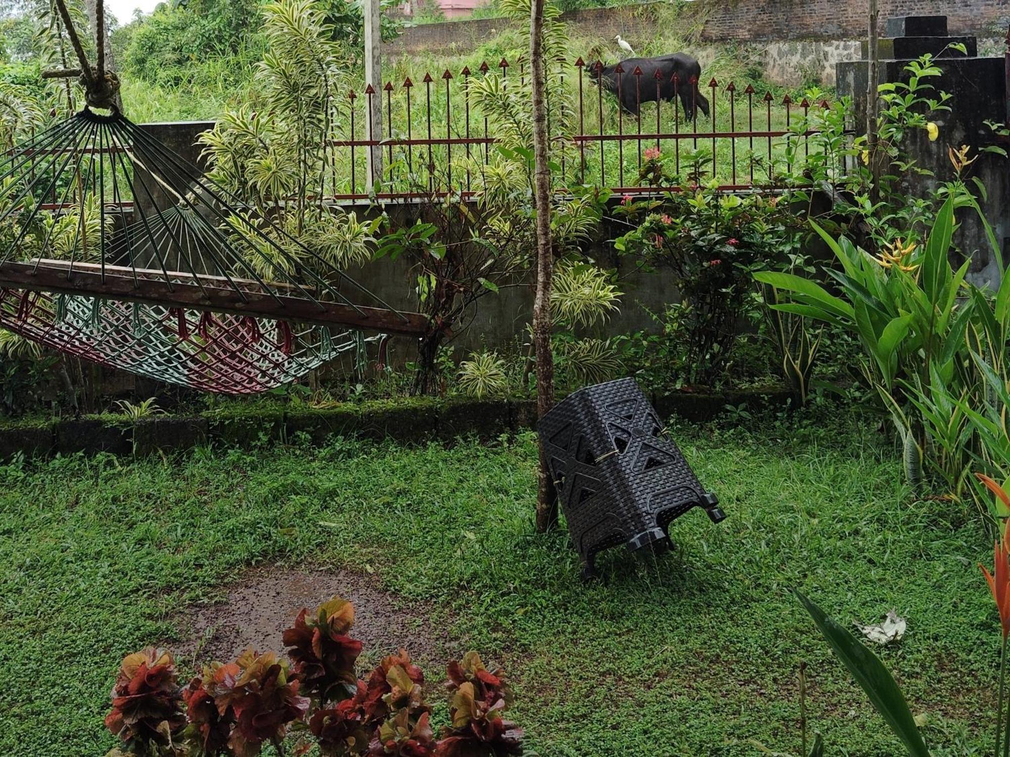 Joseph Dale Homestay Varkala Eksteriør billede